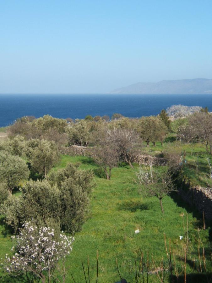 Eleana Residence Μήθυμνα Εξωτερικό φωτογραφία